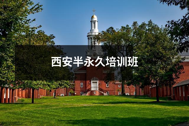 西安半永久培训班