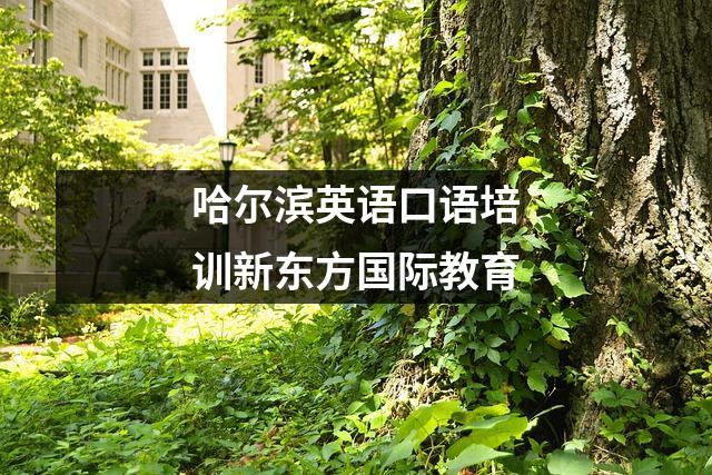 哈尔滨英语口语培训新东方国际教育