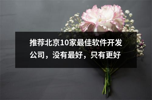 推荐北京10家最佳软件开发公司,没有最好,只有更好