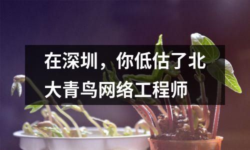 在深圳,你低估了北大青鸟网络工程师