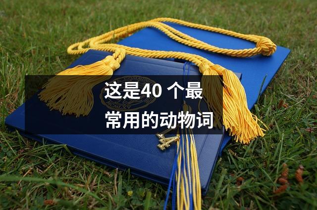 这是40 个最常用的动物词