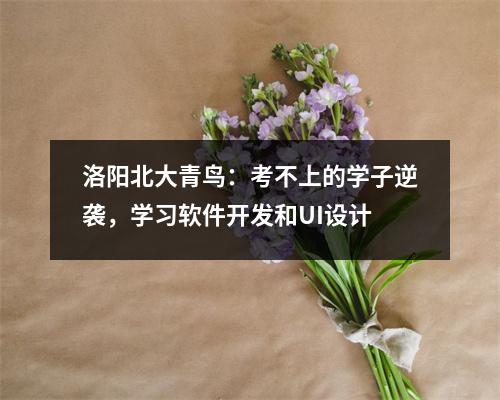 洛阳北大青鸟:考不上的学子逆袭,学习软件开发和UI设计