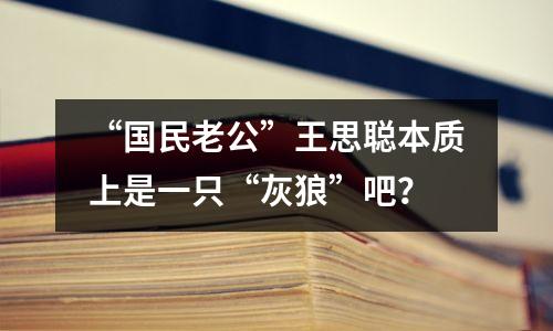 “国民老公”王思聪本质上是一只“灰狼”吧?