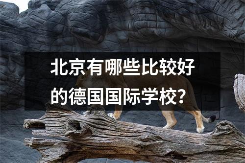 北京有哪些比较好的德国国际学校?