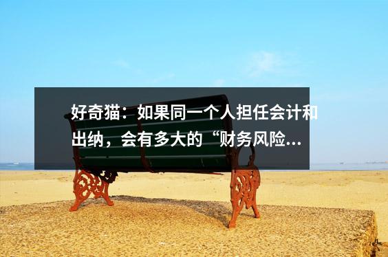 好奇猫:如果同一个人担任会计和出纳,会有多大的“财务风险”?