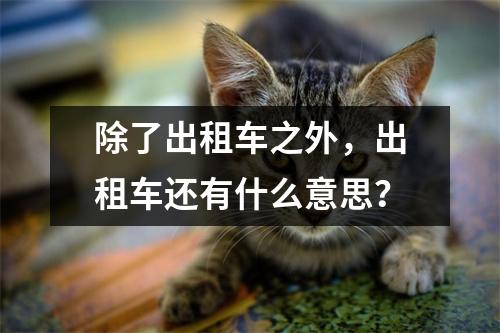 除了出租车之外,出租车还有什么意思?