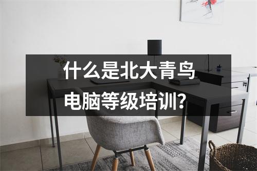 什么是北大青鸟电脑等级培训?