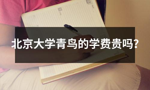 北京大学青鸟的学费贵吗?