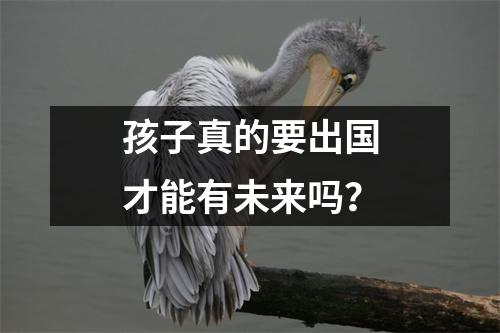 孩子真的要出国才能有未来吗?