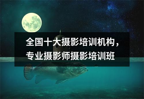 全国十大摄影培训机构,专业摄影师摄影培训班