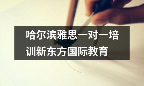哈尔滨雅思一对一培训新东方国际教育