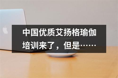 中国优质艾扬格瑜伽培训来了,但是……
