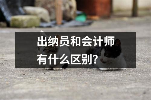 出纳员和会计师有什么区别?