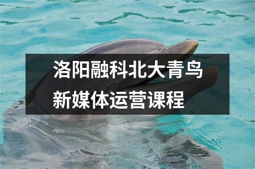 洛阳融科北大青鸟新媒体运营课程