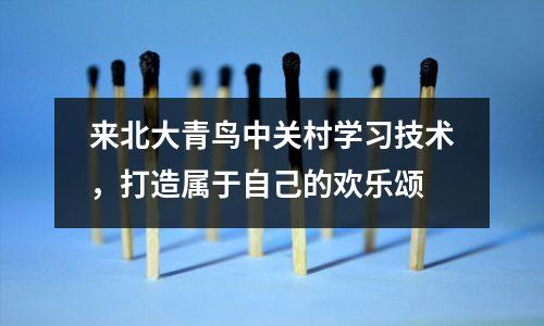 来北大青鸟中关村学习技术,打造属于自己的欢乐颂