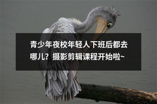 青少年夜校年轻人下班后都去哪儿?摄影剪辑课程开始啦~