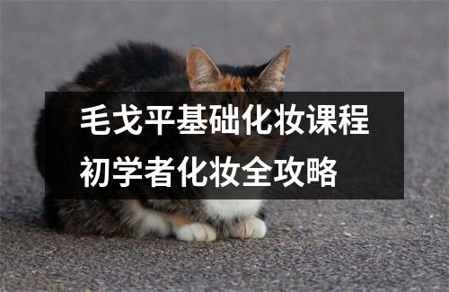 毛戈平基础化妆课程初学者化妆全攻略