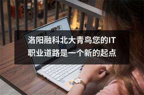洛阳融科北大青鸟您的IT职业道路是一个新的起点