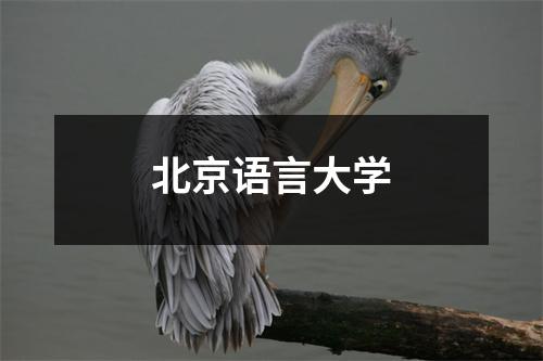 北京语言大学