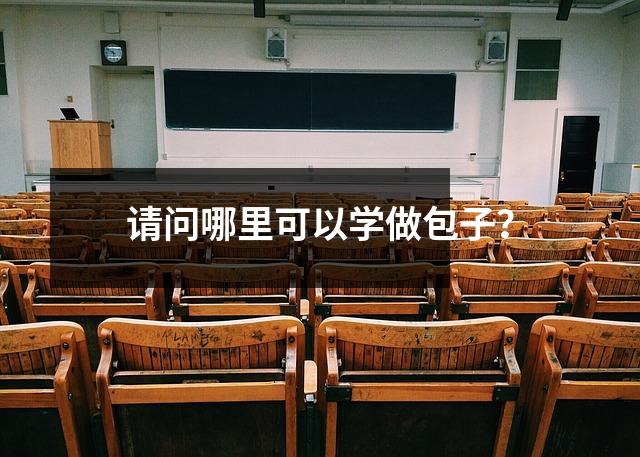 请问哪里可以学做包子?