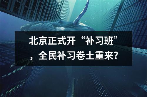 北京正式开“补习班”,全民补习卷土重来?