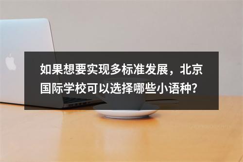 如果想要实现多标准发展,北京国际学校可以选择哪些小语种?