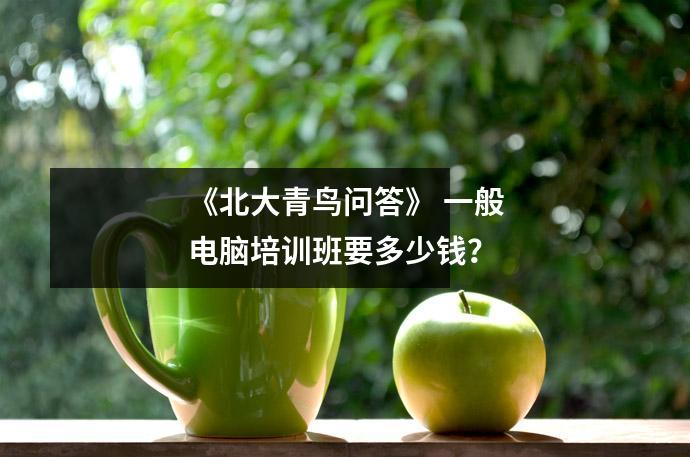 《北大青鸟问答》 一般电脑培训班要多少钱?