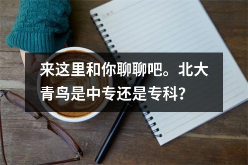 来这里和你聊聊吧。北大青鸟是中专还是专科?