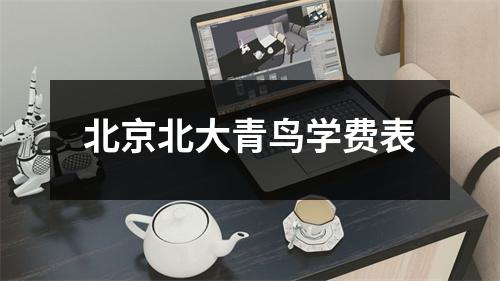 北京北大青鸟学费表