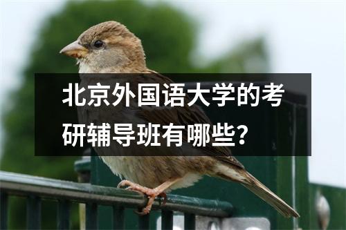 北京外国语大学的考研辅导班有哪些?