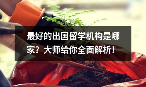 最好的出国留学机构是哪家?大师给你全面解析!