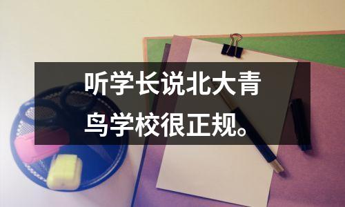 听学长说北大青鸟学校很正规。