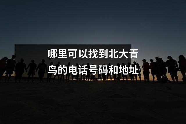 哪里可以找到北大青鸟的电话号码和地址