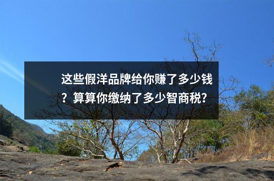 这些假洋品牌给你赚了多少钱?算算你缴纳了多少智商税?