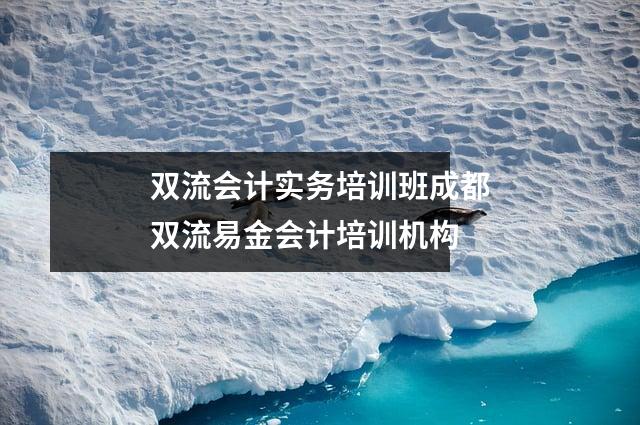 双流会计实务培训班成都双流易金会计培训机构