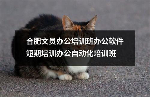 合肥文员办公培训班办公软件短期培训办公自动化培训班