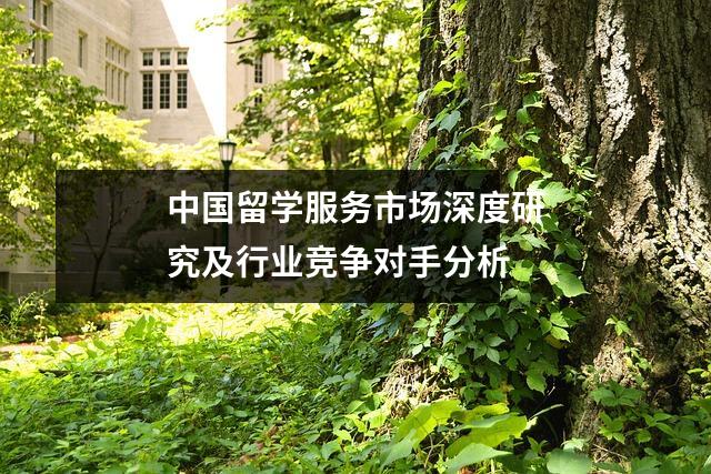 中国留学服务市场深度研究及行业竞争对手分析