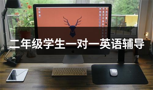 二年级学生一对一英语辅导