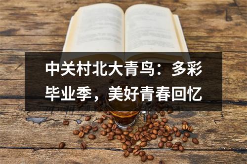 中关村北大青鸟:多彩毕业季,美好青春回忆