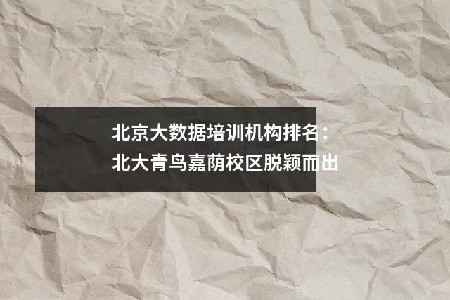北京大数据培训机构排名:北大青鸟嘉荫校区脱颖而出