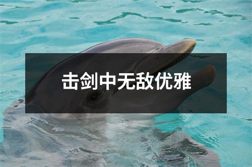击剑中无敌优雅