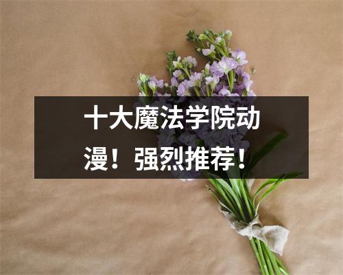 十大魔法学院动漫!强烈推荐!