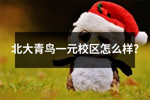 北大青鸟一元校区怎么样?
