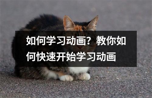 如何学习动画?教你如何快速开始学习动画