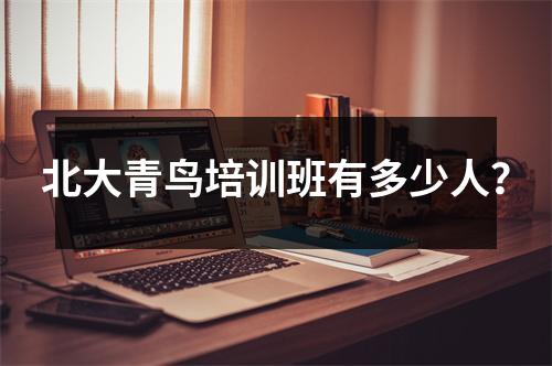 北大青鸟培训班有多少人?