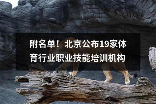 附名单!北京公布19家体育行业职业技能培训机构