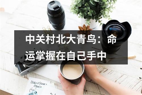 中关村北大青鸟:命运掌握在自己手中