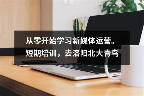 从零开始学习新媒体运营。短期培训,去洛阳北大青鸟