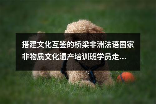 搭建文化互鉴的桥梁非洲法语国家非物质文化遗产培训班学员走进颜料馆