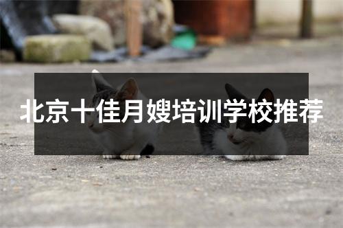 北京十佳月嫂培训学校推荐